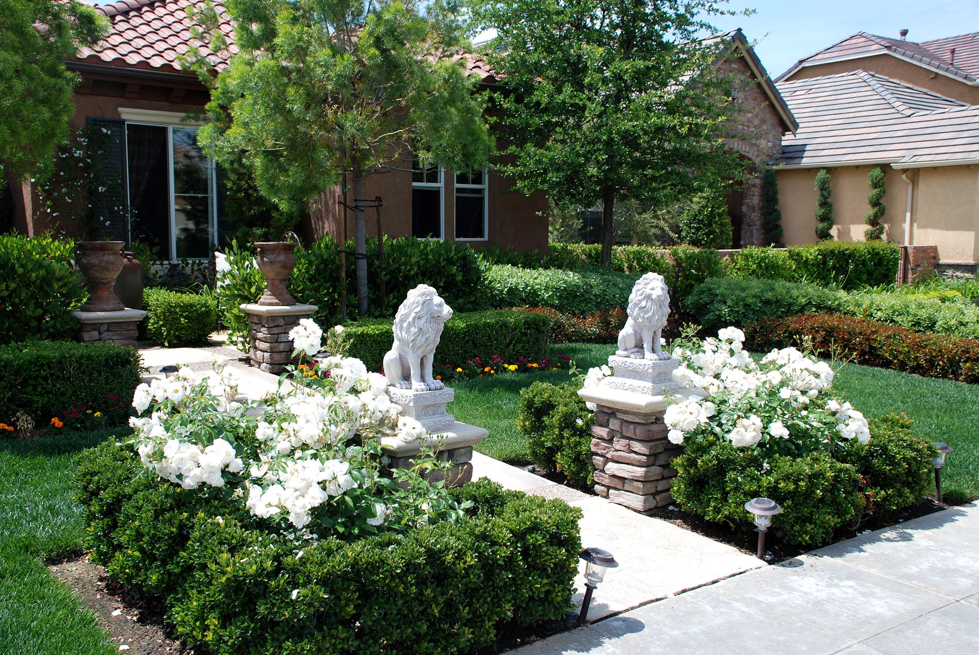 front yard walkway with hedges and lions