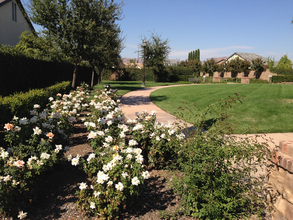 park walkway with hedges, lights, and flower beds